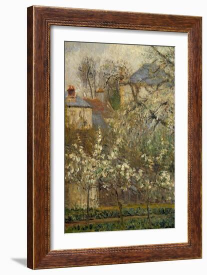 Vegetable Garden and Trees in Bloom in Spring in Pontoise (Plum Trees in Bloom) Detail. Painting By-Camille Pissarro-Framed Giclee Print