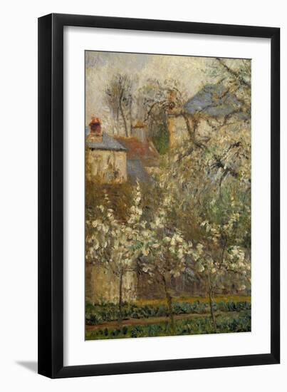 Vegetable Garden and Trees in Bloom in Spring in Pontoise (Plum Trees in Bloom) Detail. Painting By-Camille Pissarro-Framed Giclee Print