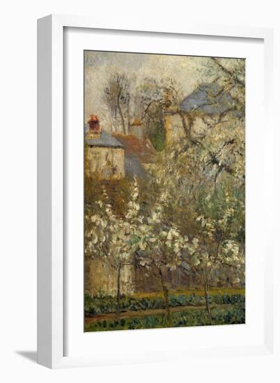 Vegetable Garden and Trees in Bloom in Spring in Pontoise (Plum Trees in Bloom) Detail. Painting By-Camille Pissarro-Framed Giclee Print