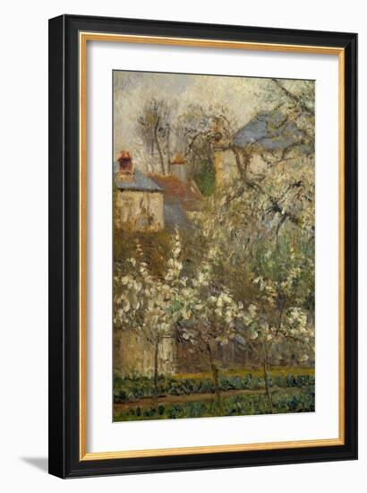 Vegetable Garden and Trees in Bloom in Spring in Pontoise (Plum Trees in Bloom) Detail. Painting By-Camille Pissarro-Framed Giclee Print