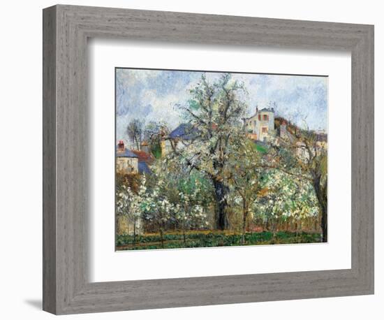 Vegetable Garden and Trees in Blossom, Spring, Pontoise-Camille Pissarro-Framed Art Print