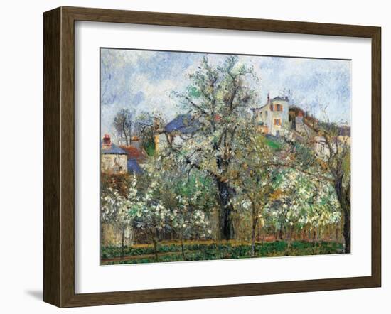 Vegetable Garden and Trees in Blossom, Spring, Pontoise-Camille Pissarro-Framed Art Print