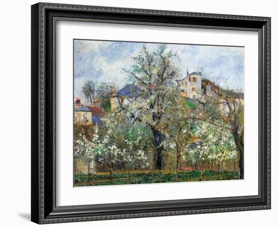 Vegetable Garden and Trees in Blossom, Spring, Pontoise-Camille Pissarro-Framed Art Print