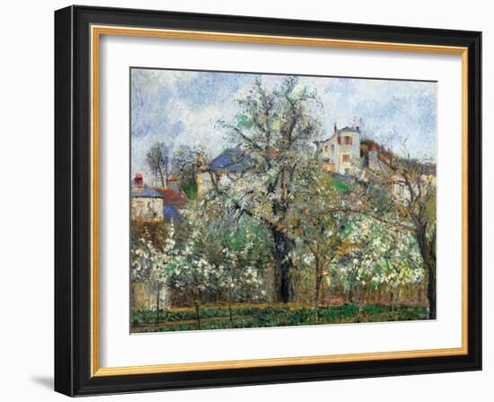 Vegetable Garden and Trees in Blossom, Spring, Pontoise-Camille Pissarro-Framed Art Print