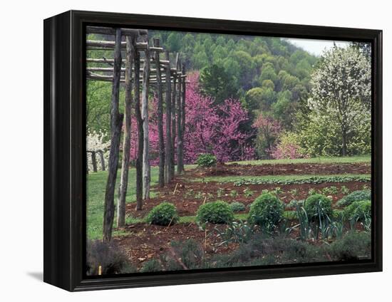 Vegetable Garden at Monticello, Thomas Jefferson's Home in Charlottesville, Virginia-null-Framed Premier Image Canvas