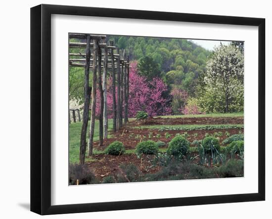 Vegetable Garden at Monticello, Thomas Jefferson's Home in Charlottesville, Virginia-null-Framed Photographic Print