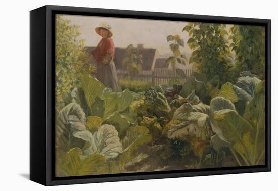 Vegetable garden, Schrobenhausen, Germany-Franz Von Lenbach-Framed Premier Image Canvas