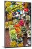 Vegetable Market in Central Hanoi, Vietnam-Peter Adams-Mounted Photographic Print