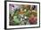 Vegetable Market, Jaisalmer, Western Rajasthan, India, Asia-Doug Pearson-Framed Photographic Print