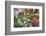 Vegetable Market, Jaisalmer, Western Rajasthan, India, Asia-Doug Pearson-Framed Photographic Print