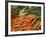 Vegetable Market, Stavanger Harbour, Norway-Russell Young-Framed Photographic Print