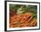 Vegetable Market, Stavanger Harbour, Norway-Russell Young-Framed Photographic Print