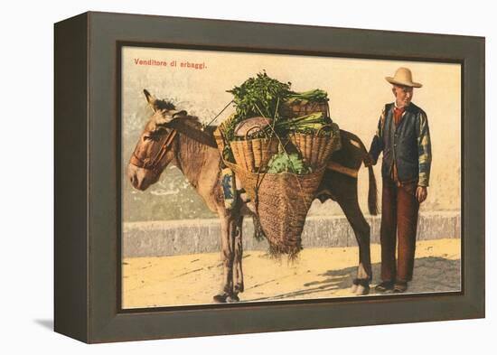 Vegetable Seller with Donkey, Italy-null-Framed Stretched Canvas