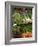 Vegetable Stall at Saturday Market, Salamanca Place, Hobart, Tasmania, Australia-David Wall-Framed Photographic Print