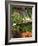 Vegetable Stall at Saturday Market, Salamanca Place, Hobart, Tasmania, Australia-David Wall-Framed Photographic Print