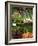 Vegetable Stall at Saturday Market, Salamanca Place, Hobart, Tasmania, Australia-David Wall-Framed Photographic Print