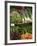 Vegetable Stall at Saturday Market, Salamanca Place, Hobart, Tasmania, Australia-David Wall-Framed Photographic Print