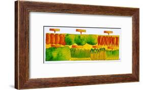 Vegetables, 1998-Julie Nicholls-Framed Giclee Print