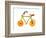 Vegetables and Fruit Forming the Shape of a Bicycle-Luzia Ellert-Framed Photographic Print