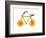 Vegetables and Fruit Forming the Shape of a Bicycle-Luzia Ellert-Framed Photographic Print