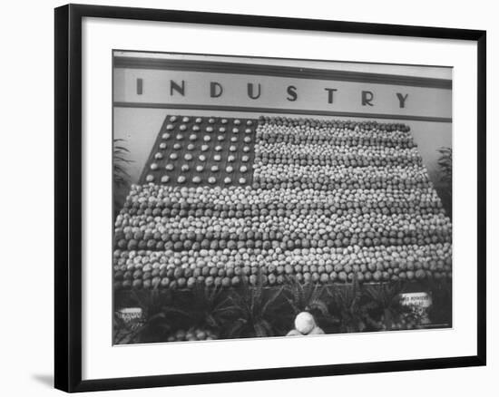 Vegetables Arranged to Look Like the American Flag-Frank Scherschel-Framed Photographic Print