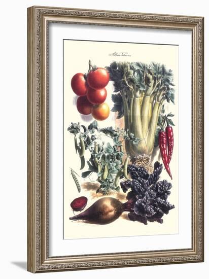 Vegetables; Beet, Hot Peppers, Celery, Tomatoes, and Peas in Pods-Philippe-Victoire Leveque de Vilmorin-Framed Art Print