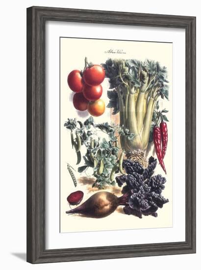 Vegetables; Beet, Hot Peppers, Celery, Tomatoes, and Peas in Pods-Philippe-Victoire Leveque de Vilmorin-Framed Art Print