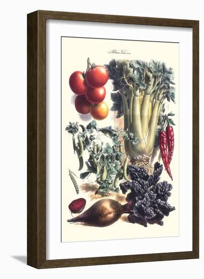 Vegetables; Beet, Hot Peppers, Celery, Tomatoes, and Peas in Pods-Philippe-Victoire Leveque de Vilmorin-Framed Art Print