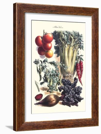 Vegetables; Beet, Hot Peppers, Celery, Tomatoes, and Peas in Pods-Philippe-Victoire Leveque de Vilmorin-Framed Art Print