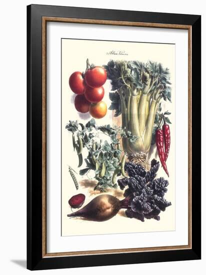 Vegetables; Beet, Hot Peppers, Celery, Tomatoes, and Peas in Pods-Philippe-Victoire Leveque de Vilmorin-Framed Art Print