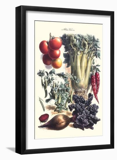 Vegetables; Beet, Hot Peppers, Celery, Tomatoes, and Peas in Pods-Philippe-Victoire Leveque de Vilmorin-Framed Art Print