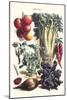 Vegetables; Beet, Hot Peppers, Celery, Tomatoes, and Peas in Pods-Philippe-Victoire Leveque de Vilmorin-Mounted Art Print