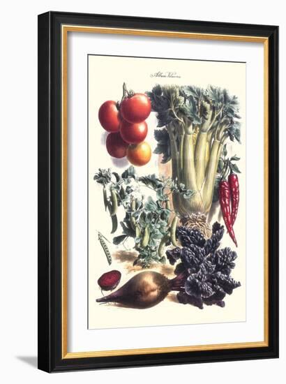 Vegetables; Beet, Hot Peppers, Celery, Tomatoes, and Peas in Pods-Philippe-Victoire Leveque de Vilmorin-Framed Art Print