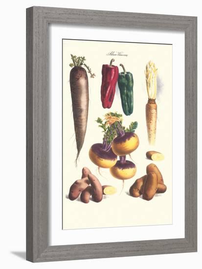 Vegetables; Bell Peppers, Turnips, Potato, Bok Choy and Tubers-Philippe-Victoire Leveque de Vilmorin-Framed Art Print