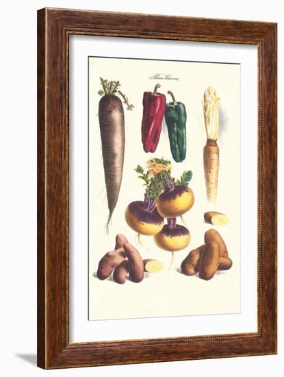 Vegetables; Bell Peppers, Turnips, Potato, Bok Choy and Tubers-Philippe-Victoire Leveque de Vilmorin-Framed Art Print