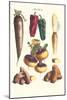 Vegetables; Bell Peppers, Turnips, Potato, Bok Choy and Tubers-Philippe-Victoire Leveque de Vilmorin-Mounted Art Print
