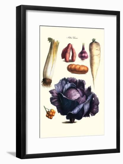 Vegetables; Cabbage, Celery, Yam, Potato, Onion, Tomato, Horse Raddish-Philippe-Victoire Leveque de Vilmorin-Framed Art Print