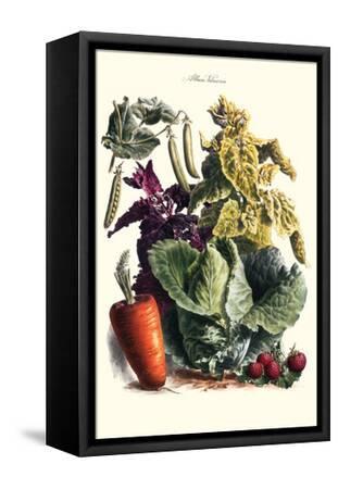 Vegetables Cabbage Peas Strawberries And Carrot Art Print Philippe Victoire Leveque De Vilmorin Art Com
