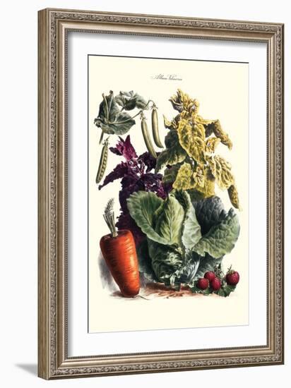 Vegetables; Cabbage, Peas, Strawberries, and Carrot-Philippe-Victoire Leveque de Vilmorin-Framed Art Print