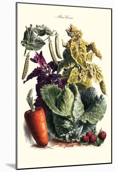 Vegetables; Cabbage, Peas, Strawberries, and Carrot-Philippe-Victoire Leveque de Vilmorin-Mounted Art Print