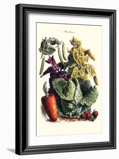 Vegetables; Cabbage, Peas, Strawberries, and Carrot-Philippe-Victoire Leveque de Vilmorin-Framed Art Print