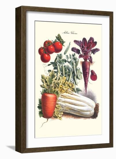 Vegetables; Carrot, Beet, Tomato, and Celery-Philippe-Victoire Leveque de Vilmorin-Framed Art Print