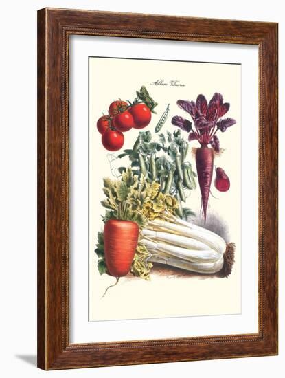 Vegetables; Carrot, Beet, Tomato, and Celery-Philippe-Victoire Leveque de Vilmorin-Framed Art Print