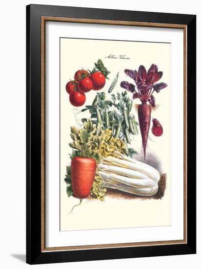 Vegetables; Carrot, Beet, Tomato, and Celery-Philippe-Victoire Leveque de Vilmorin-Framed Art Print
