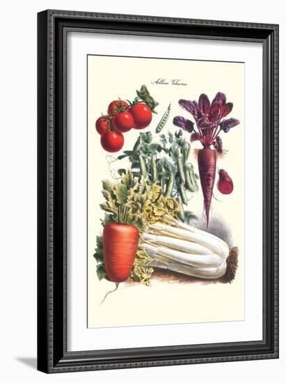 Vegetables; Carrot, Beet, Tomato, and Celery-Philippe-Victoire Leveque de Vilmorin-Framed Art Print