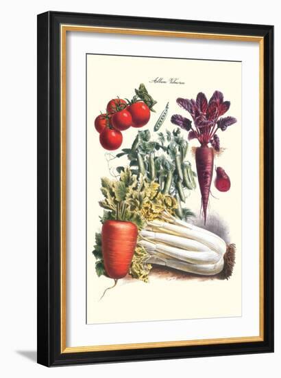 Vegetables; Carrot, Beet, Tomato, and Celery-Philippe-Victoire Leveque de Vilmorin-Framed Art Print