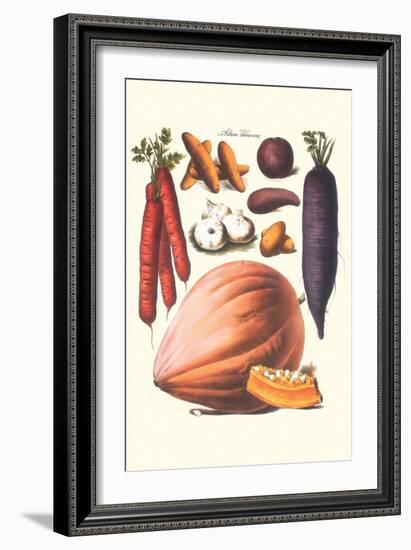 Vegetables; Carrot, Potato, Onion, and Pumpkin-Philippe-Victoire Leveque de Vilmorin-Framed Art Print