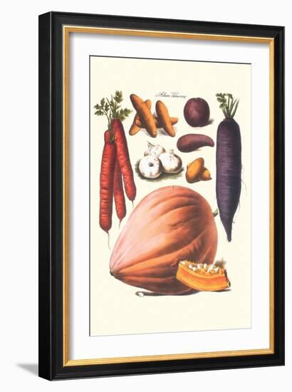 Vegetables; Carrot, Potato, Onion, and Pumpkin-Philippe-Victoire Leveque de Vilmorin-Framed Art Print