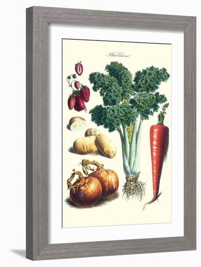 Vegetables; Celery, Strawberry, Onion, Carrot, and Potato-Philippe-Victoire Leveque de Vilmorin-Framed Art Print