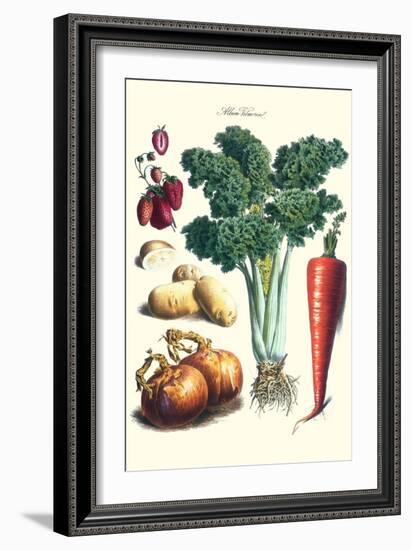 Vegetables; Celery, Strawberry, Onion, Carrot, and Potato-Philippe-Victoire Leveque de Vilmorin-Framed Art Print